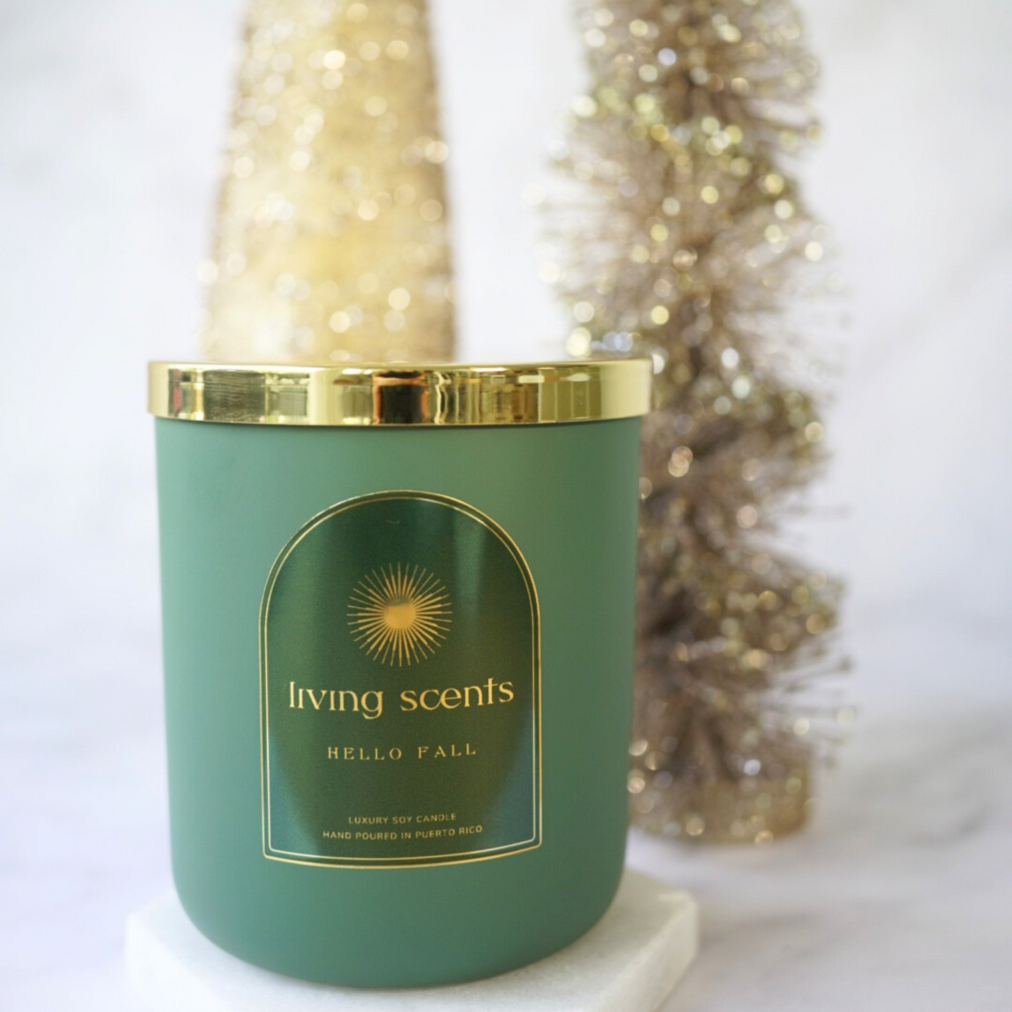 Hello Fall Soy Candle 13 oz