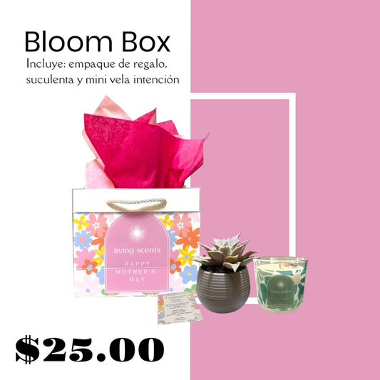 Bloom Box