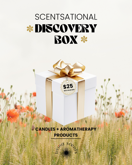 Scentsational Discovery Box